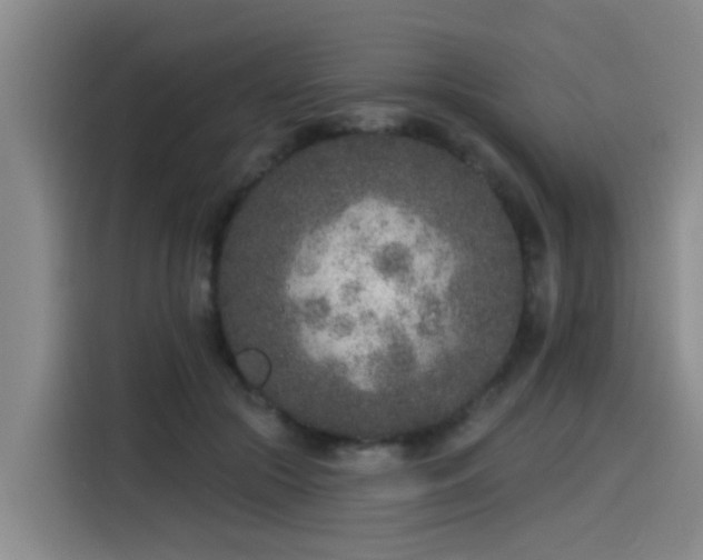 X0000115530553200911061442