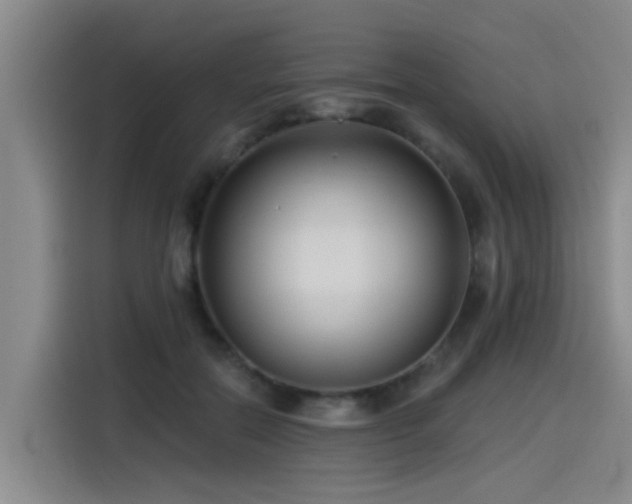 X0000115530554200911061442