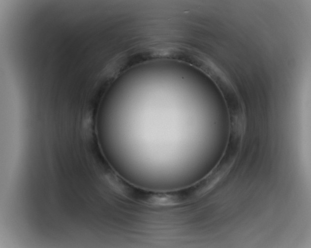 X0000115530557200911061442