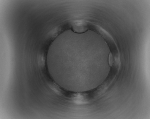 X0000115530558200911061442