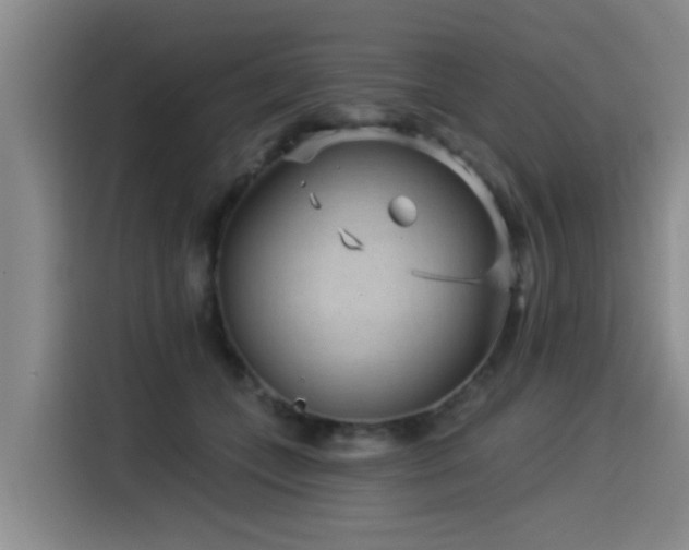 X0000115530559200911061442