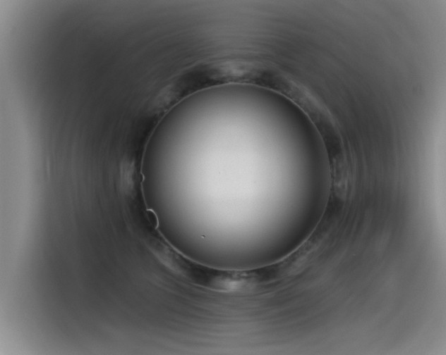 X0000115530563200911061442