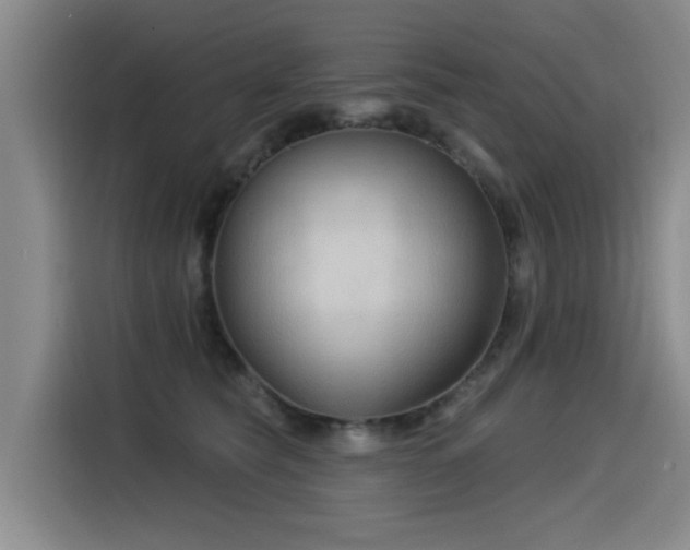 X0000115530565200911061442