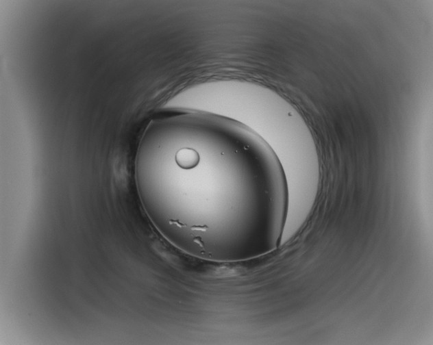 X0000115530566200911061442