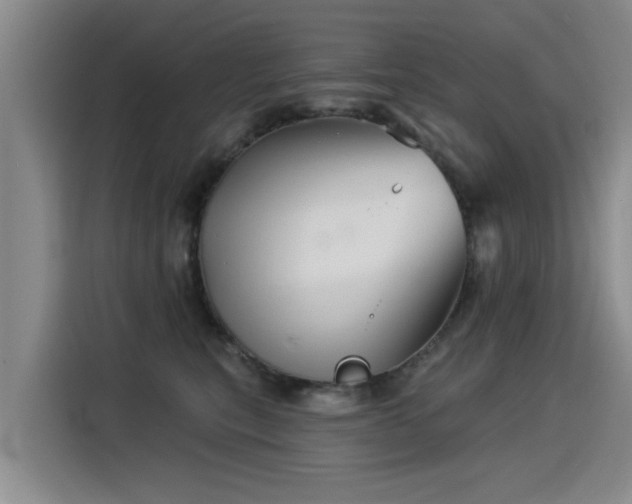 X0000115530567200911061442