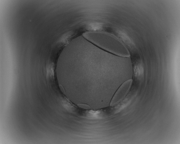 X0000115530570200911061442