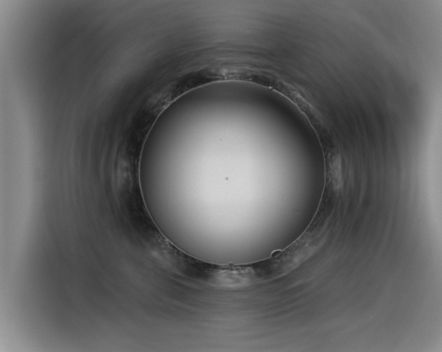 X0000115530571200911061442