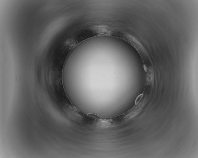 X0000115530573200911061442