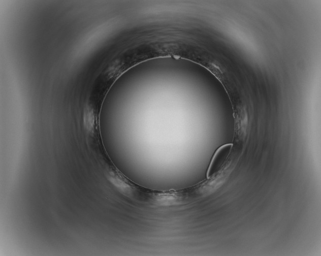 X0000115530574200911061442