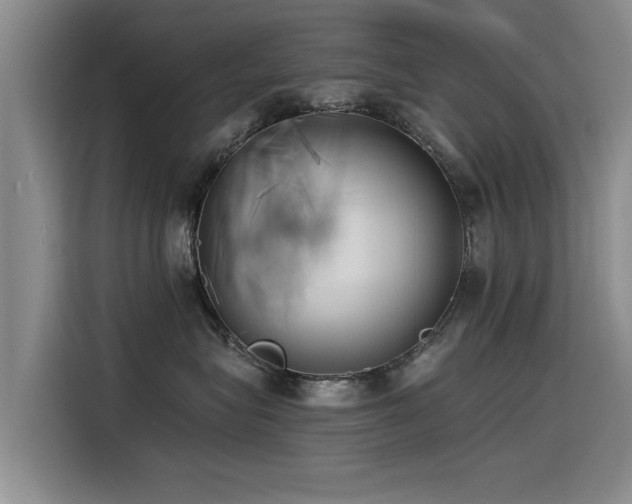 X0000115530575200911061442