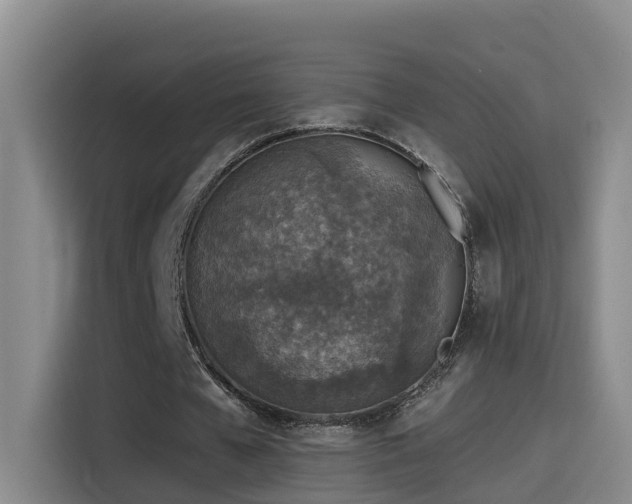 X0000115530577200911061442