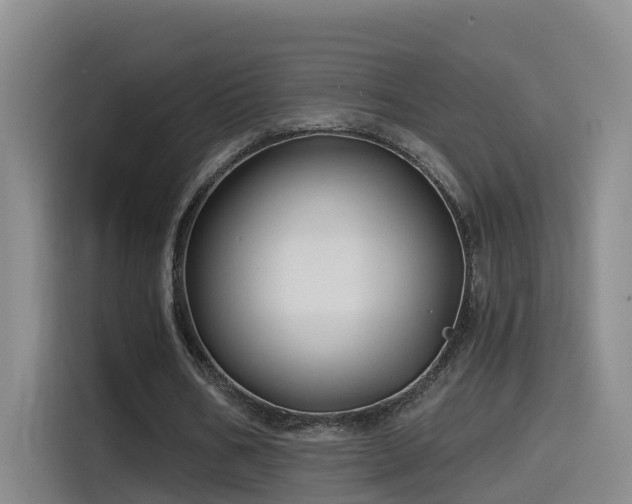 X0000115530578200911061442