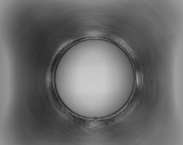 X0000115530579200911061442