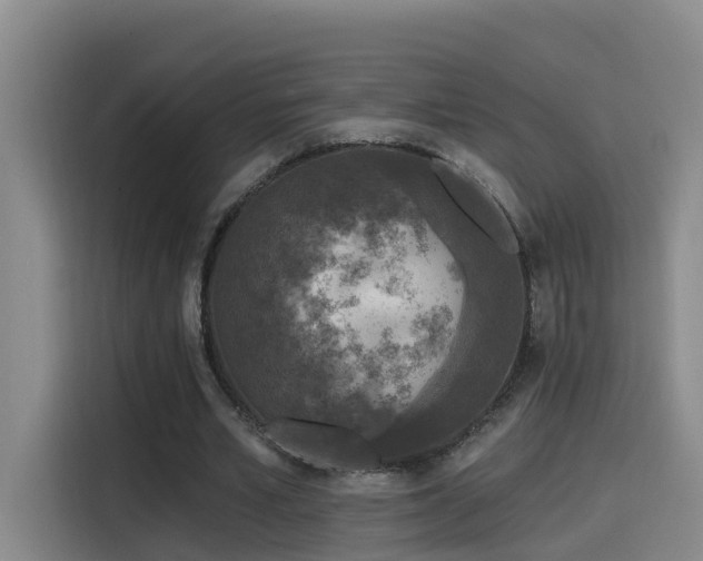 X0000115530581200911061442