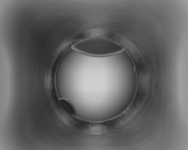 X0000115530587200911061442