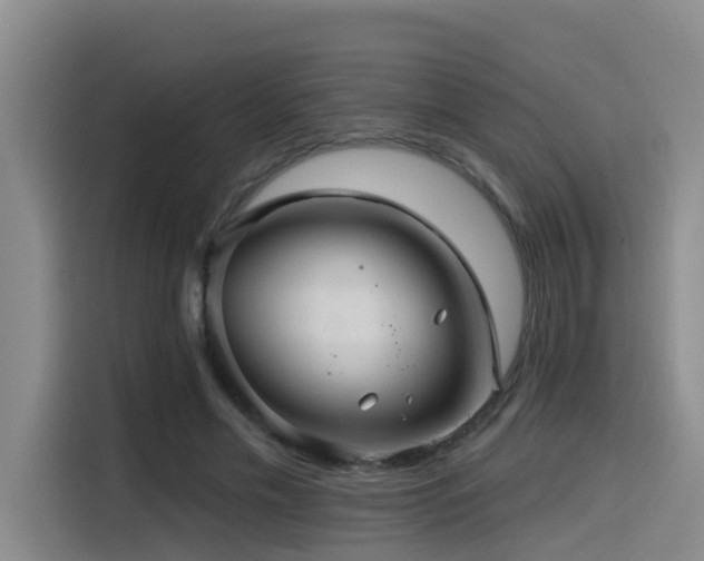 X0000115530589200911061442