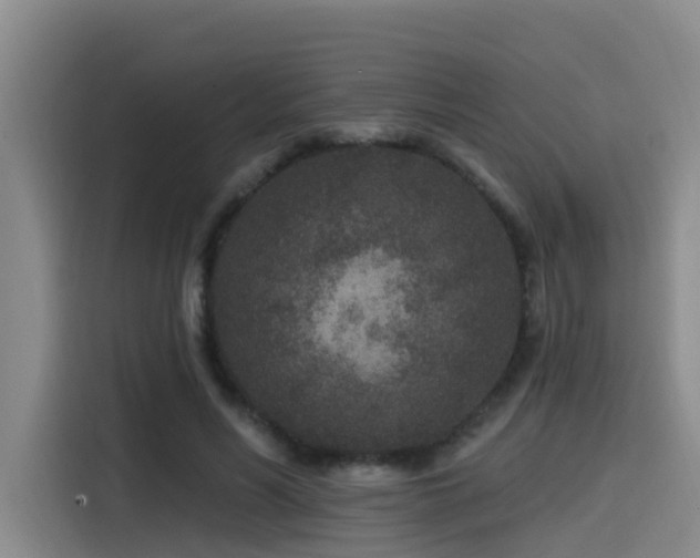 X0000115530590200911061442