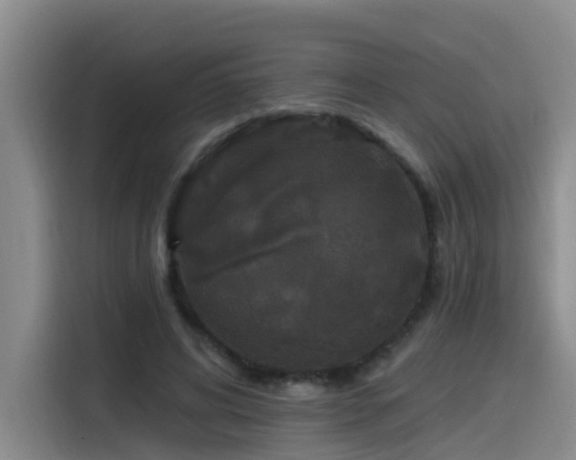 X0000115530592200911061442