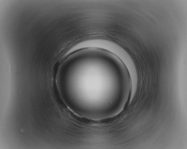 X0000115530595200911061442