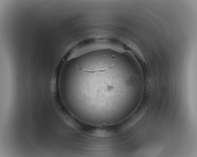 X0000115530596200911061442