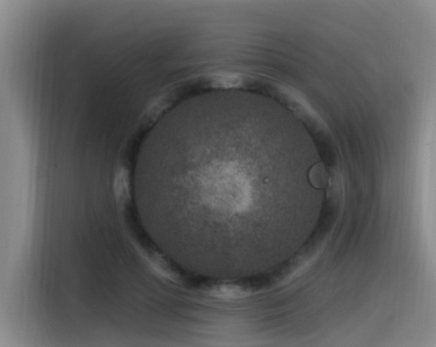 X0000115530598200911061442