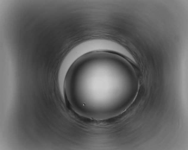 X0000115530599200911061442