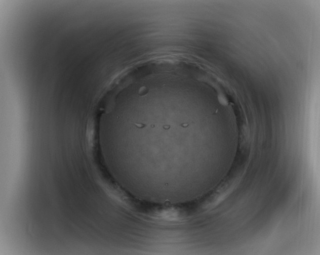 X0000115530600200911061442