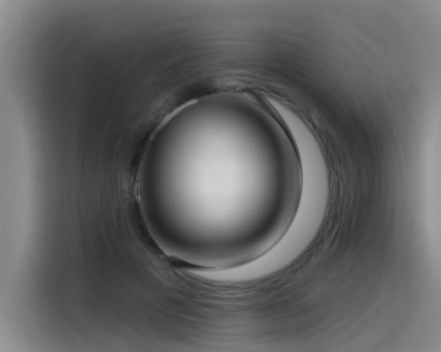 X0000115530601200911061442