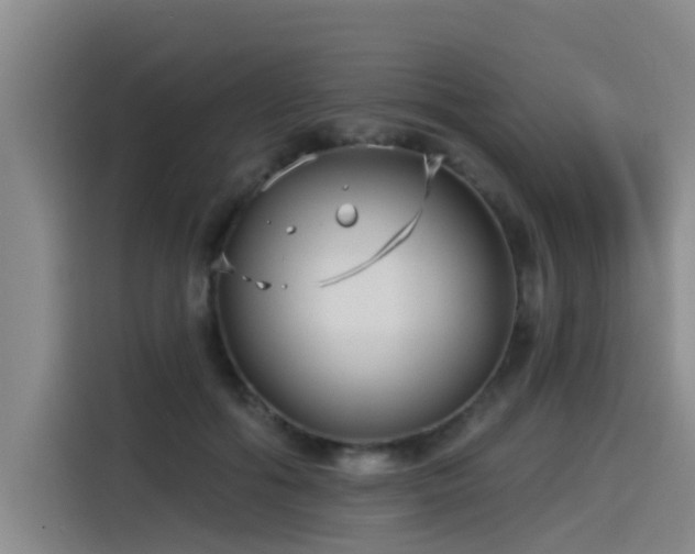 X0000115530602200911061442