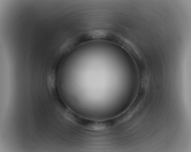 X0000115530604200911061441