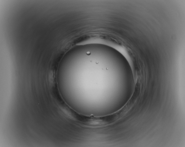 X0000115530605200911061441