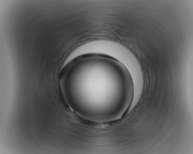 X0000115530609200911061441