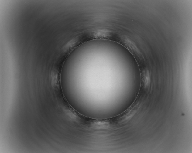 X0000115530619200911061441