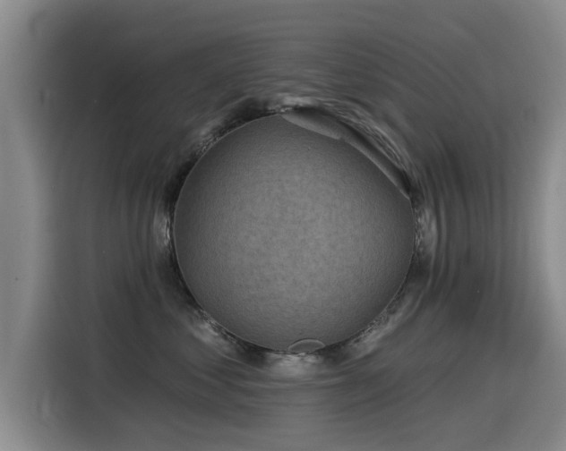 X0000115530621200911061441