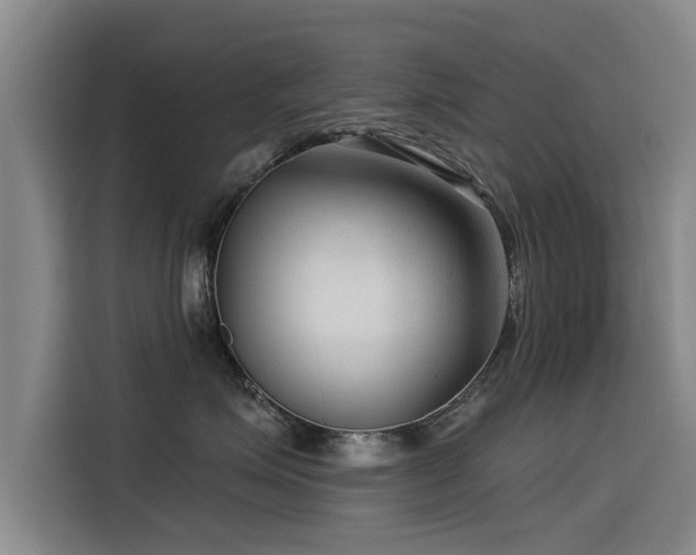 X0000115530623200911061441