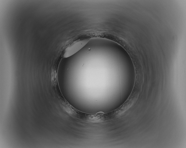 X0000115530624200911061441