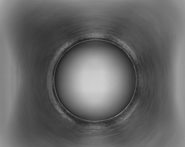 X0000115530625200911061441