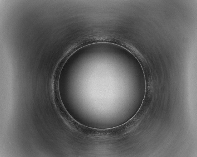 X0000115530626200911061441