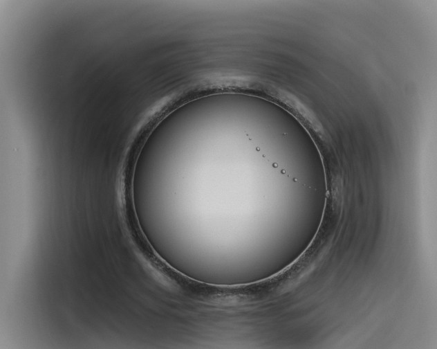 X0000115530629200911061441