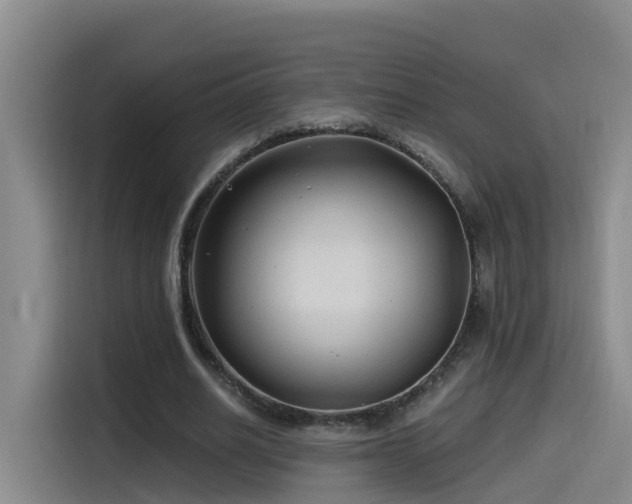 X0000115530630200911061441