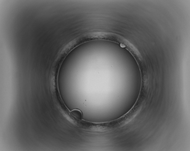 X0000115530633200911061441