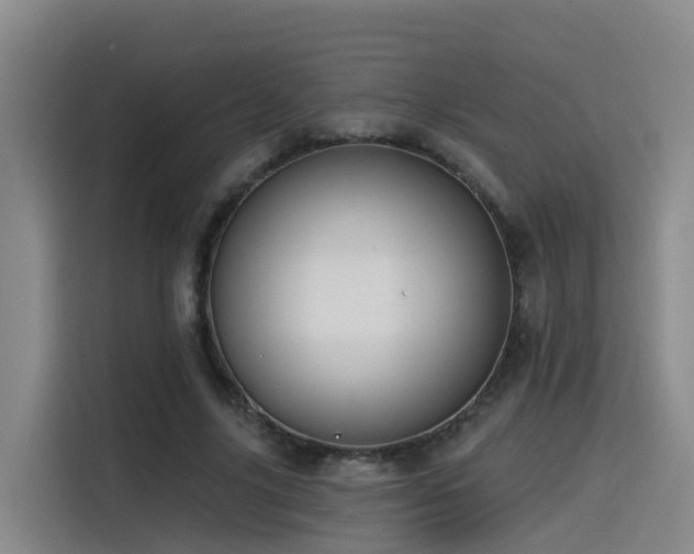 X0000115530635200911061441