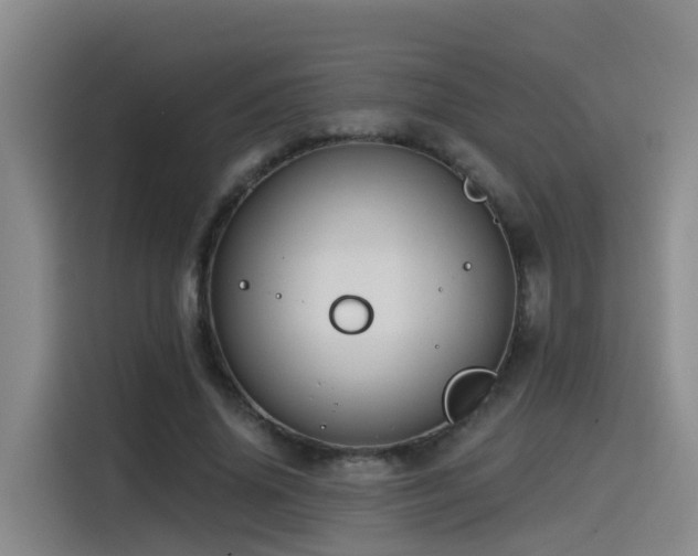 X0000115530636200911061441