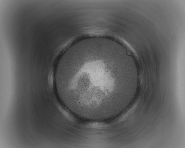 X0000115530637200911061441