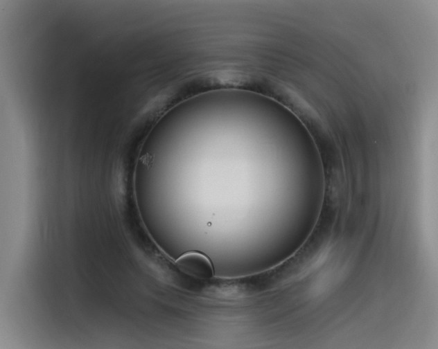 X0000115530639200911061441