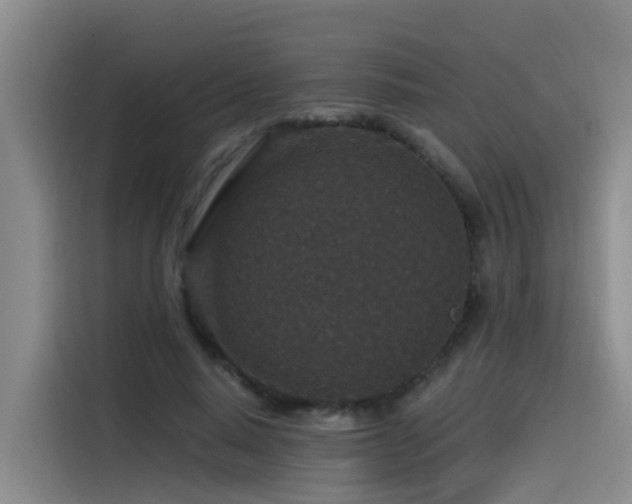 X0000115530640200911061441