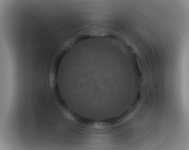 X0000115530641200911061441