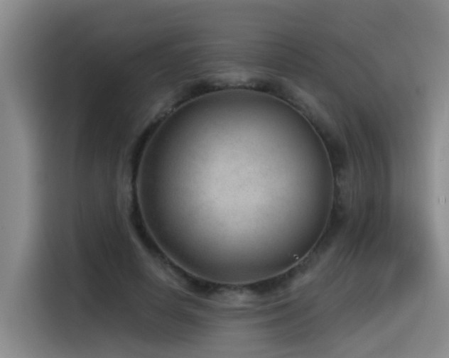 X0000115530642200911061441