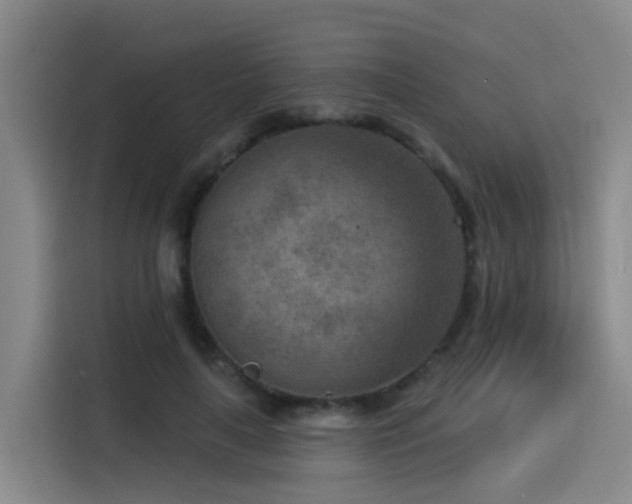 X0000115530643200911061441