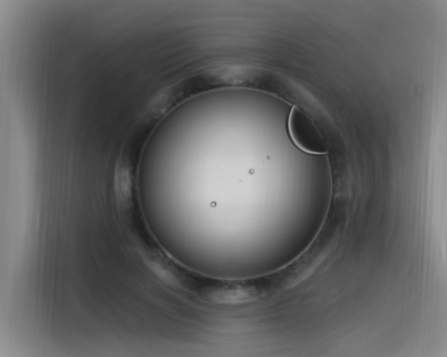 X0000115530646200911061441